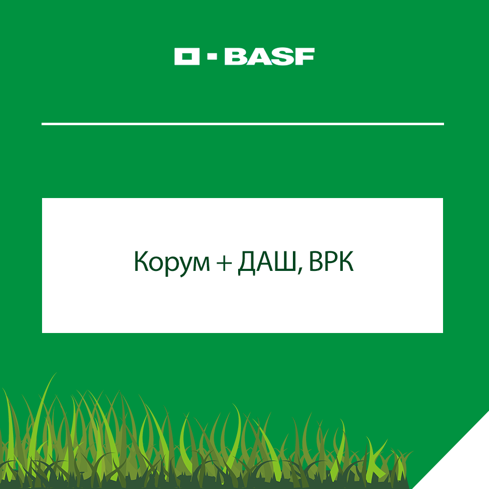 Корум + ДАШ, ВРК