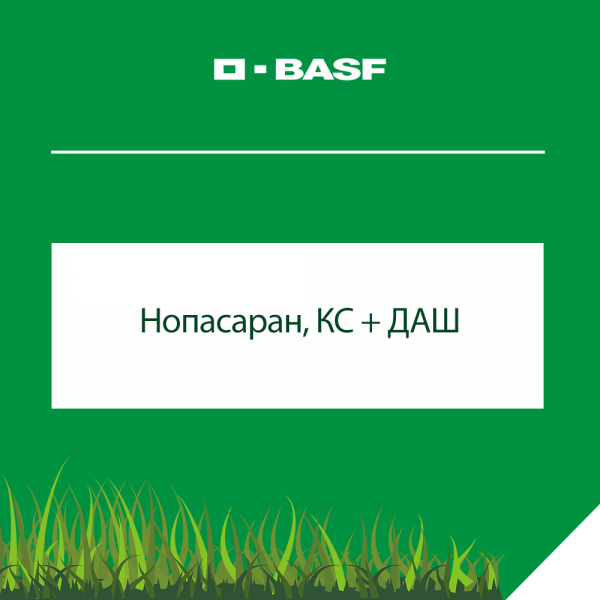 Нопасаран, КС + ДАШ (БАСФ)