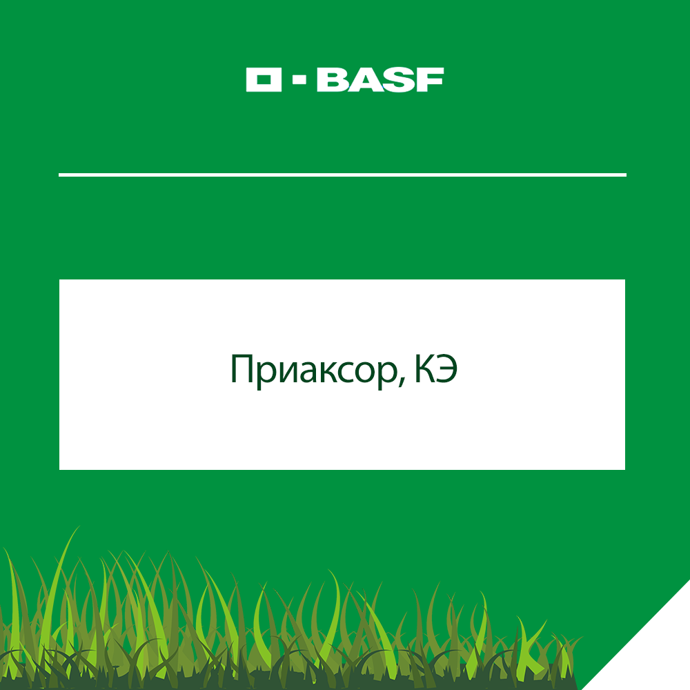 Приаксор, КЭ