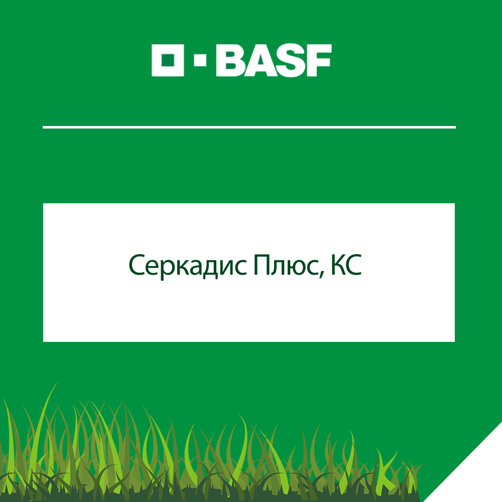 Серкадис Плюс, КС лого